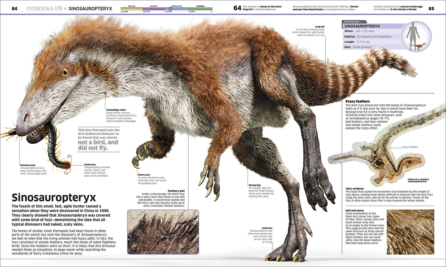 Knowledge Encyclopedia Dinosaur!: Over 60 Prehistoric Creatu