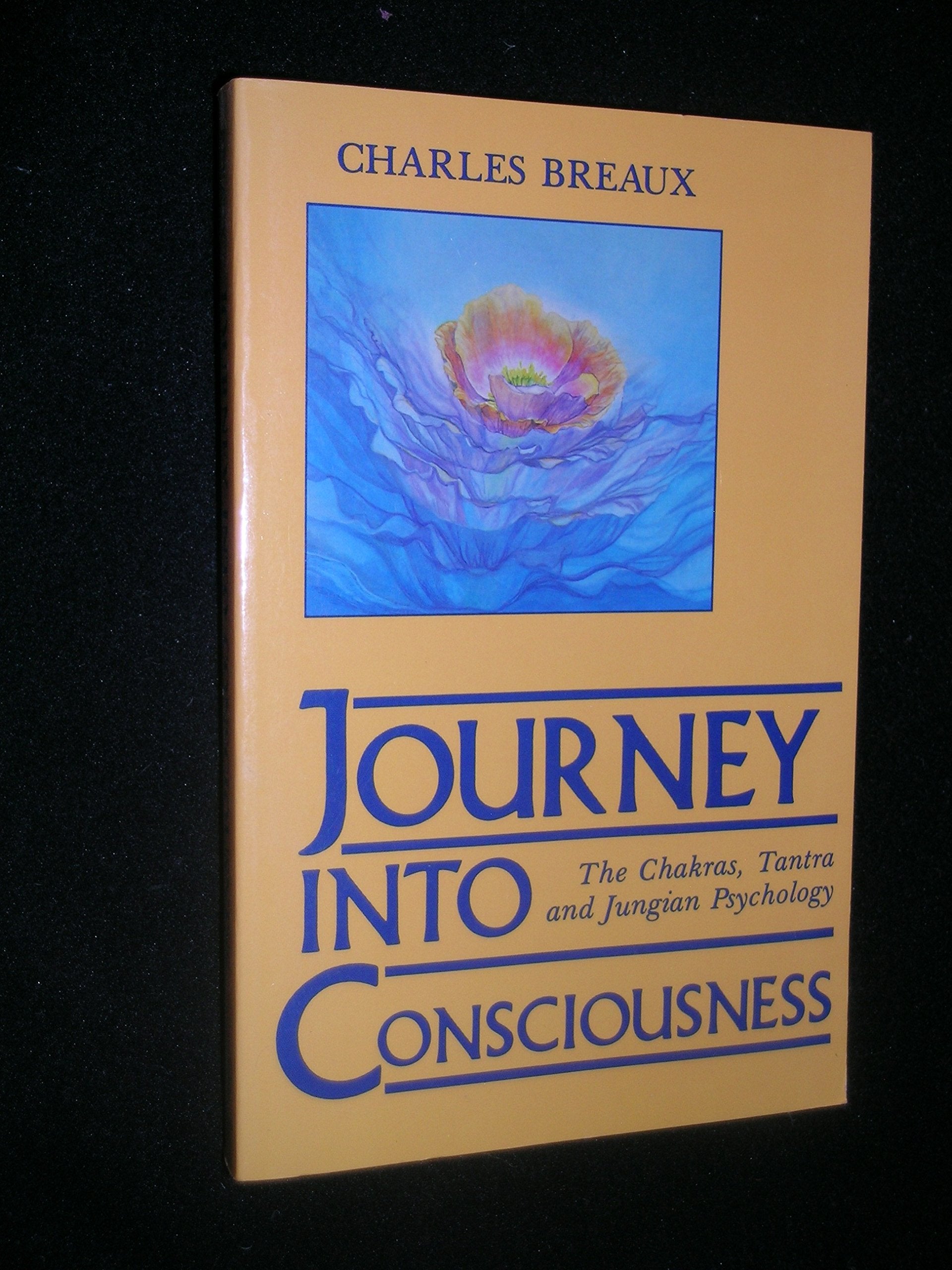 Journey into Consciousness: The Chakras, Tantra and Jungian Psychology