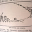 The Story of Mankind (A Liveright Book)