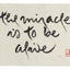 This Moment Is Full of Wonders: The Zen Calligraphy of Thich