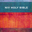 NIV, Value Outreach Bible, Paperback