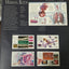 Illustrated Atlas of the Human Body