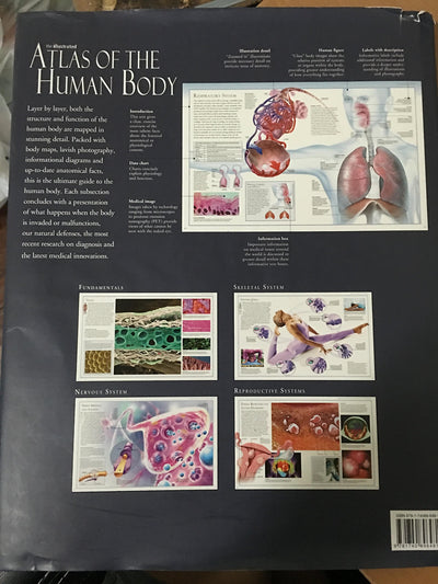Illustrated Atlas of the Human Body