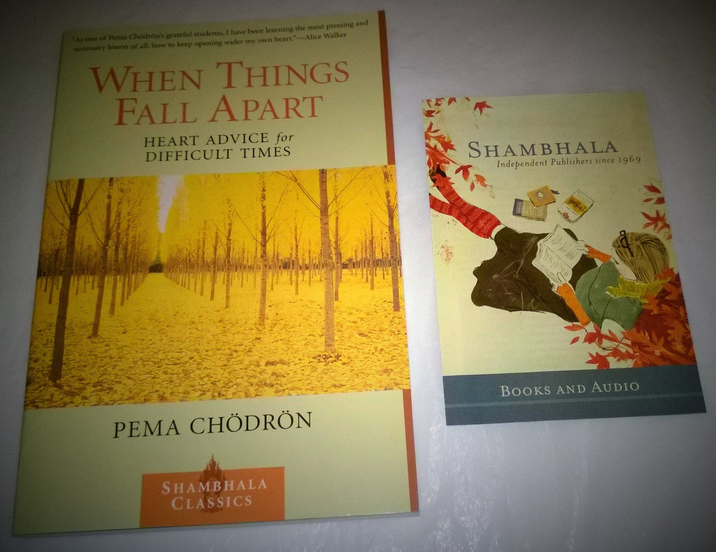 When Things Fall Apart: Heart Advice for Difficult Times