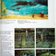 Designing and Painting for the Theatre by Pecktal, Lynn