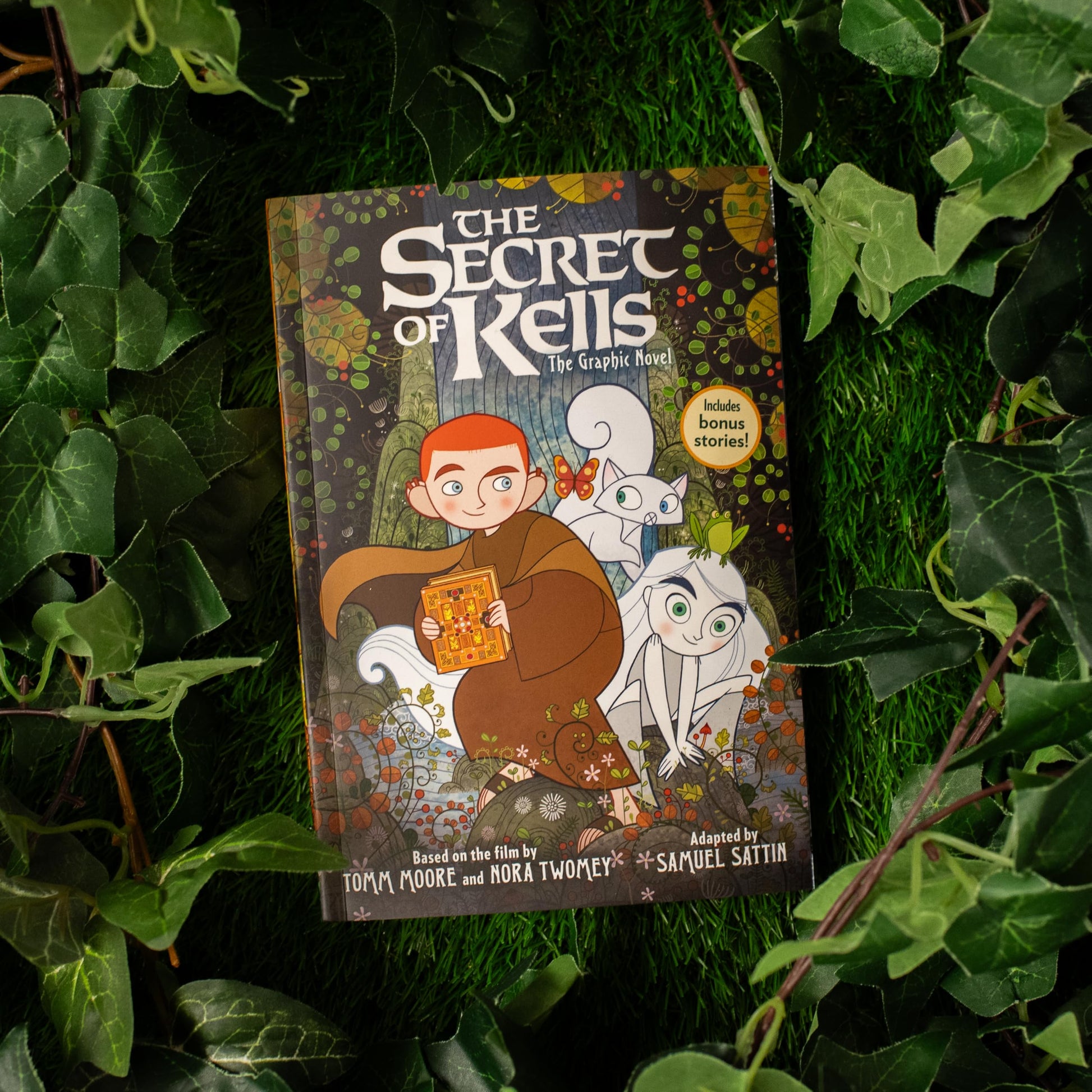 The Secret of Kells: The Graphic Novel (Cartoon Saloons Irish Folklore)