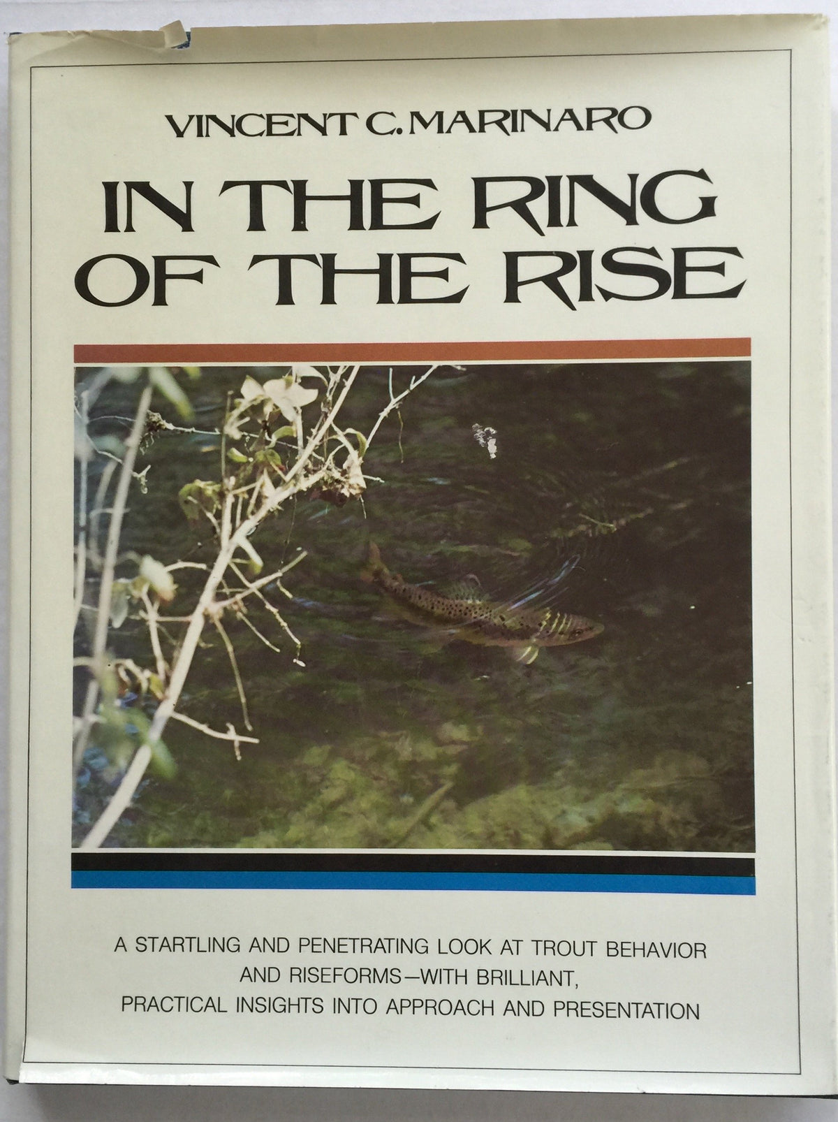 In the ring of the rise