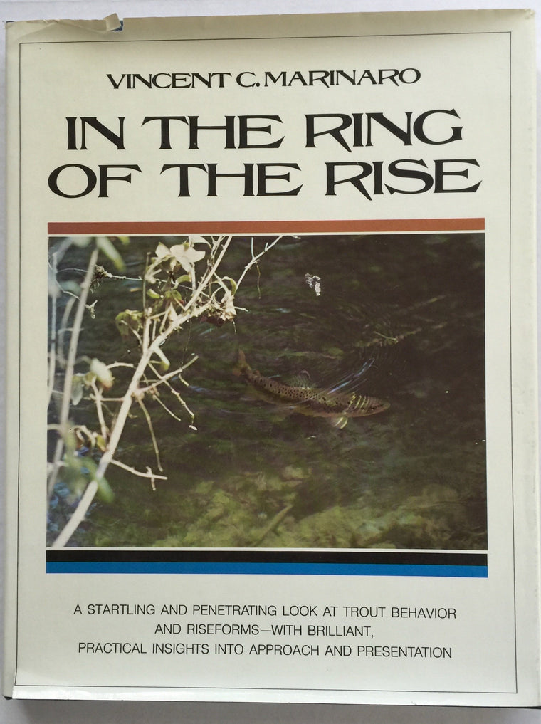 In the ring of the rise