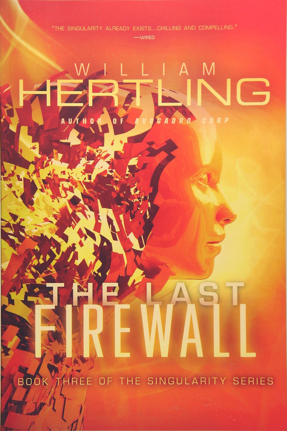 The Last Firewall (Singularity Series)