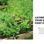 All New Square Foot Gardening, 3rd Edition, Fully Updated: MORE Projects - NEW Solutions - GROW Vegetables Anywhere (Volume 9) (All New Square Foot Gardening, 9)