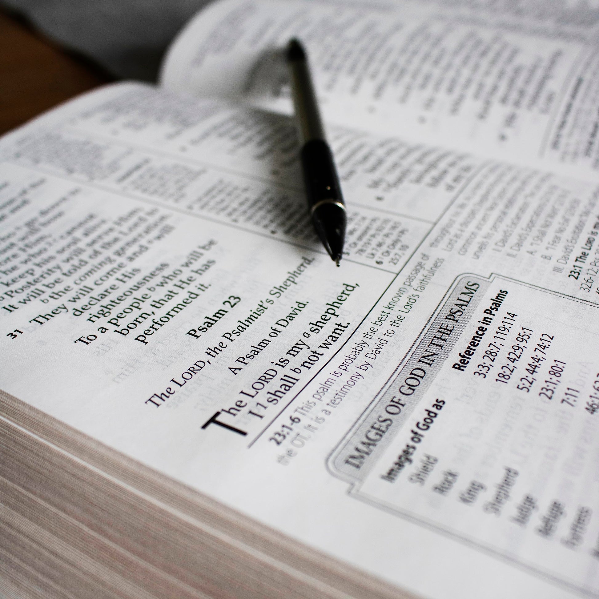 NASB MacArthur Study Bible