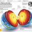 Ciencia! (Knowledge Encyclopedia Science!) (DK Knowledge Encyclopedias) (Spanish Edition)