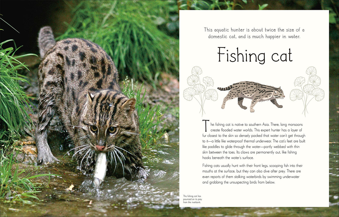 An Anthology of Aquatic Life (DK Children's Anthologies)