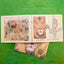 The Lion & the Mouse (Caldecott Medal Winner) by Pinkney, Je