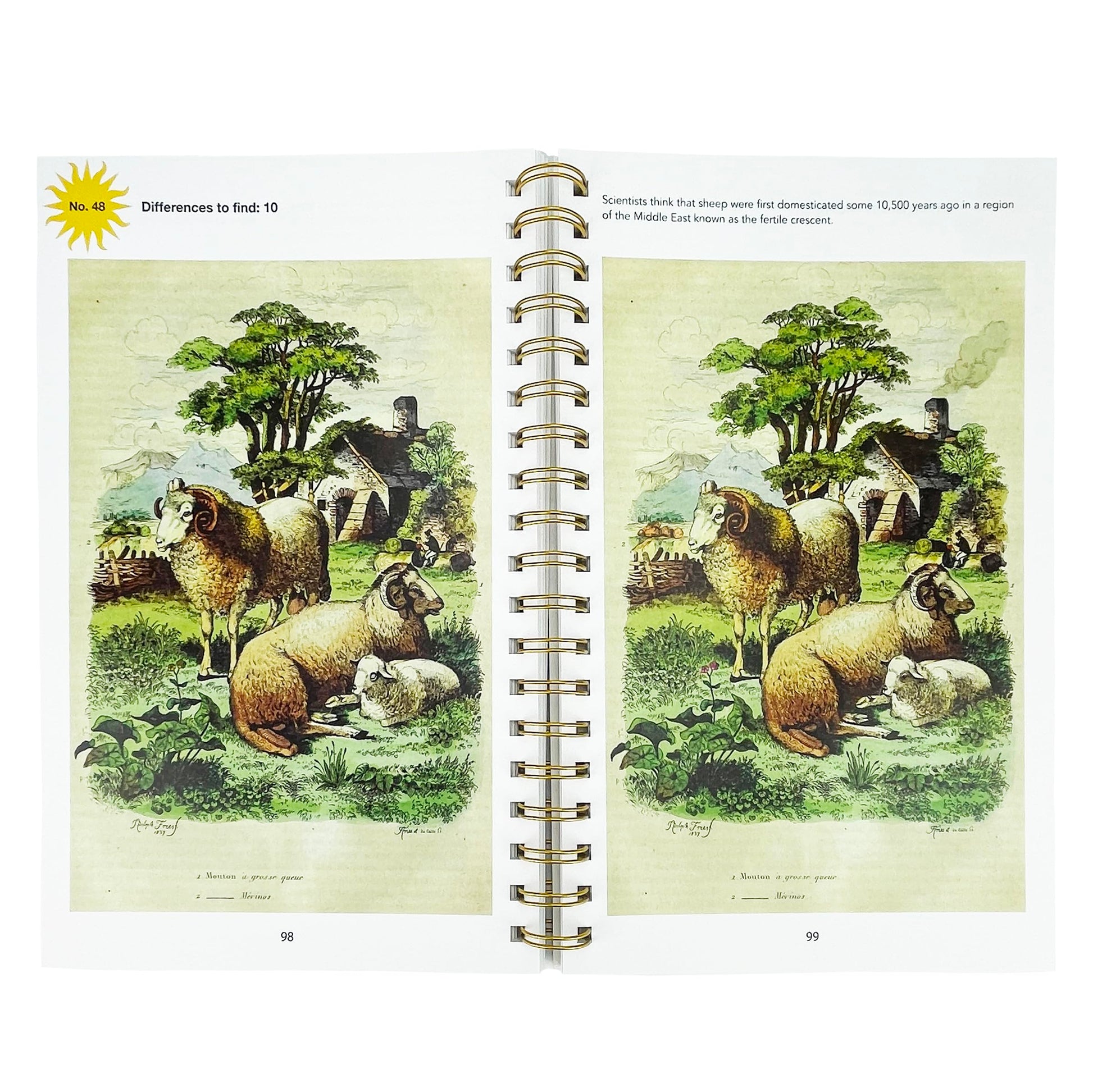 Smithsonian Spot the Difference - Natural Wonders From the Archives, 100+ Picture Puzzles for Adults - Includes Spiral Bound / Lay Flat Design (Brain Busters)