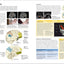 The Human Brain Book: An Illustrated Guide to its Structure, Function, and Disorders (DK Human Body Guides)