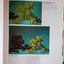 Artistic Secrets to Painting Tonal Values