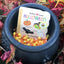 Babies Love Halloween: A Lift-a-Flap Board Book for Babies and Toddlers