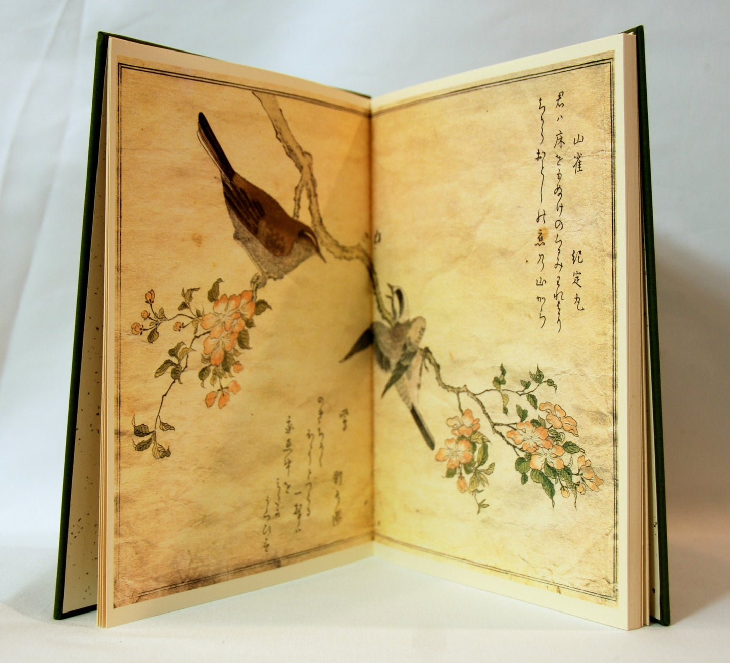 UTAMARO: A Chorus of Birds (English and Japanese Edition) by
