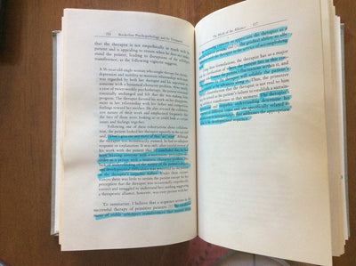 Borderline Psychopathology & Its Treatment by Adler, Gerald