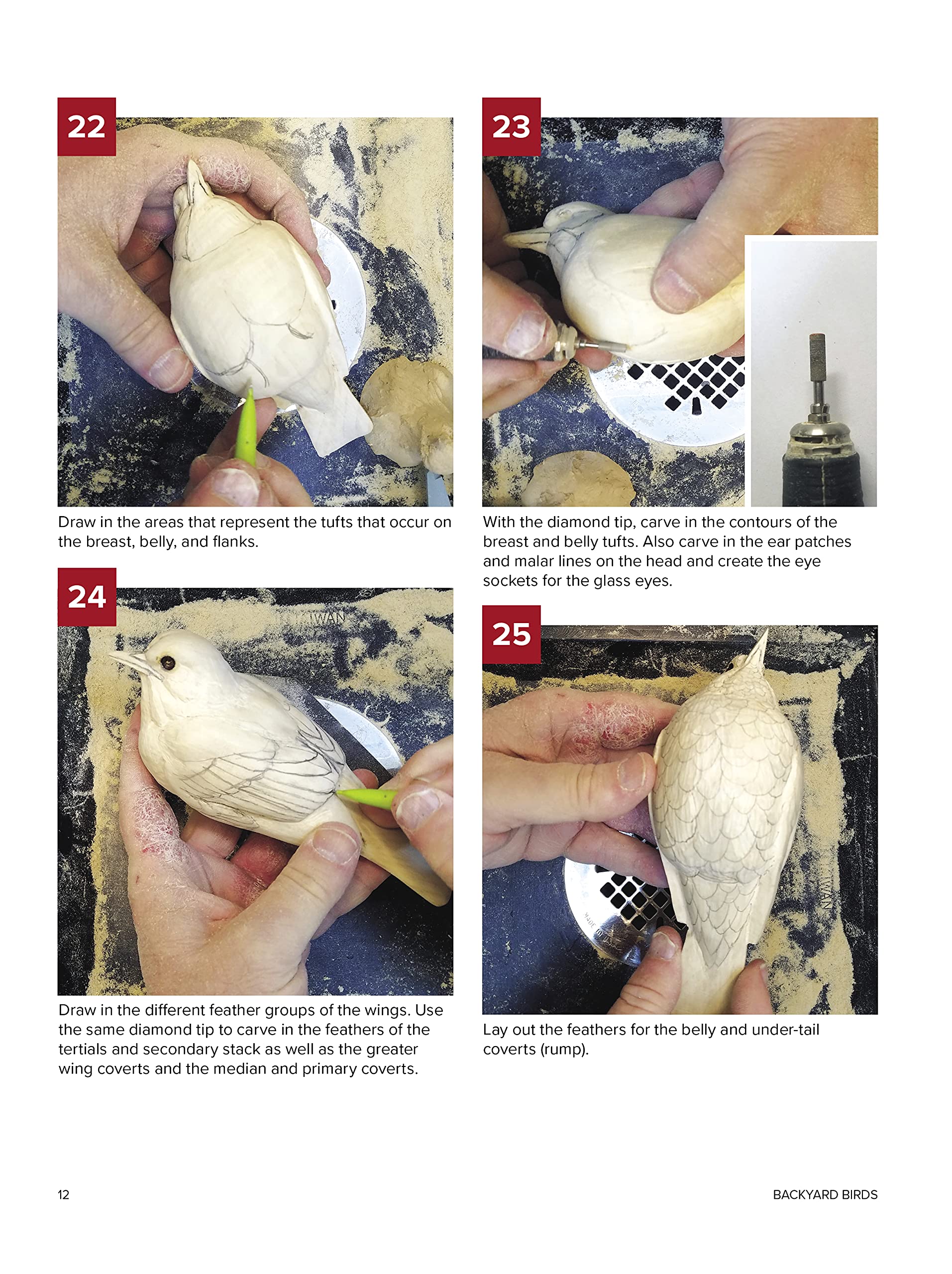 Backyard Birds: Learn How to Carve and Paint 5 Beautiful Songbirds