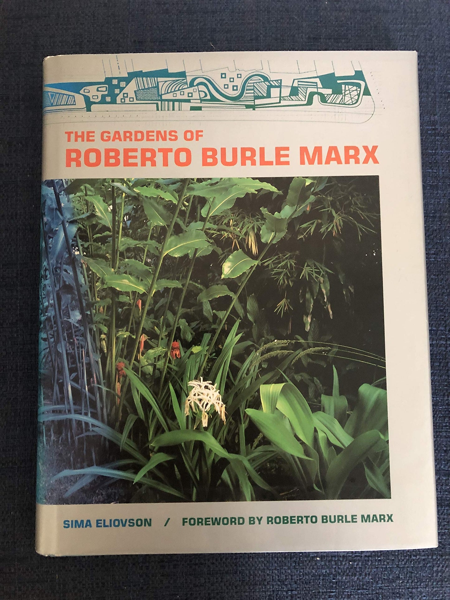 The Gardens of Roberto Burle Marx