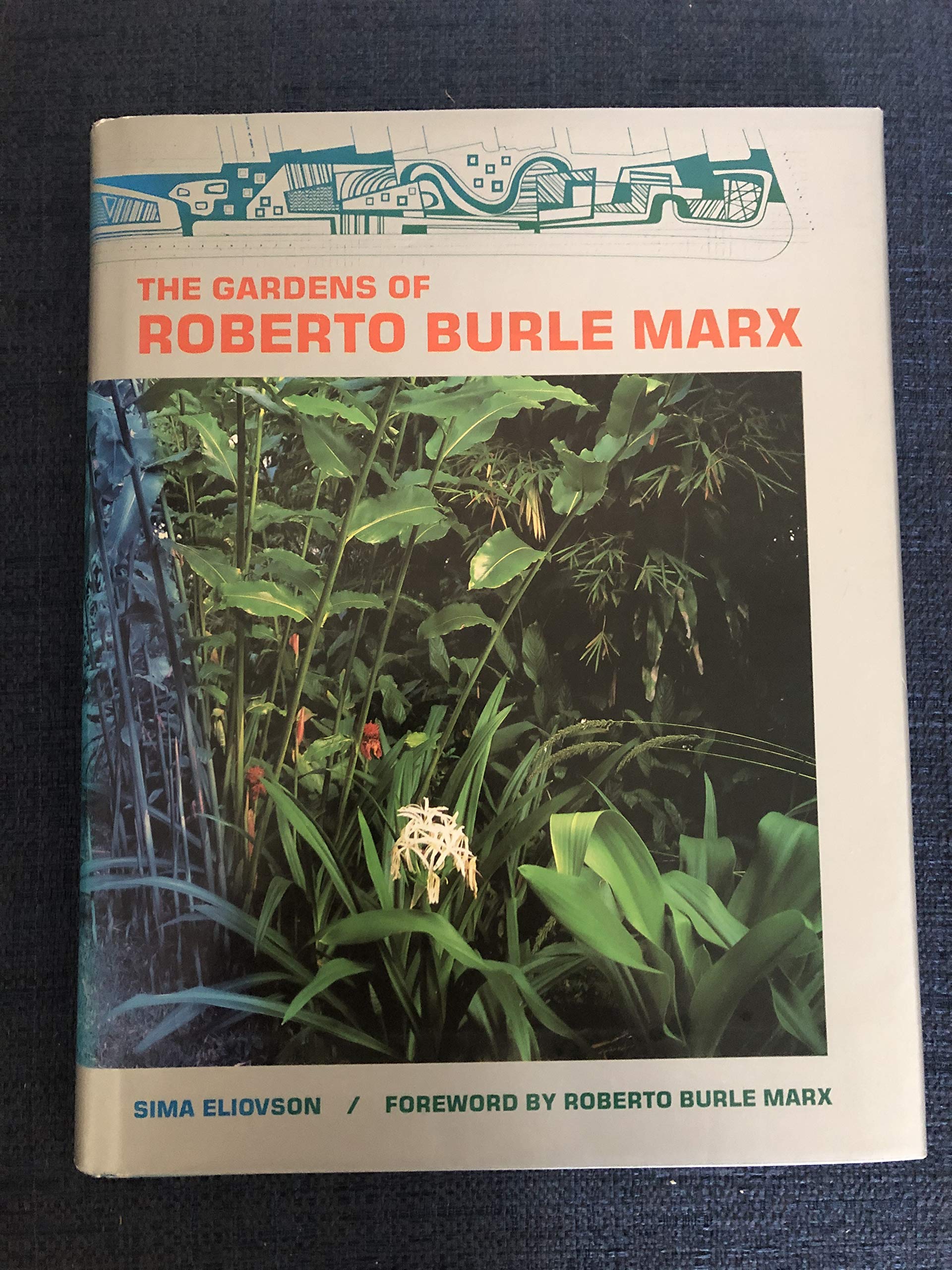The Gardens of Roberto Burle Marx