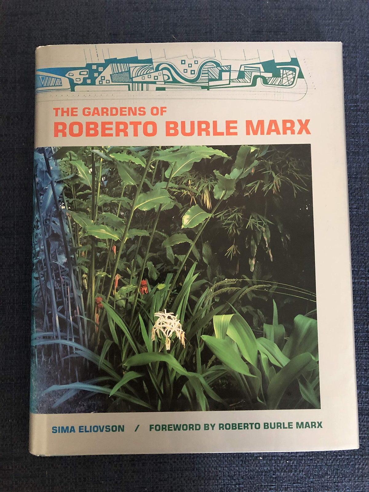 The Gardens of Roberto Burle Marx