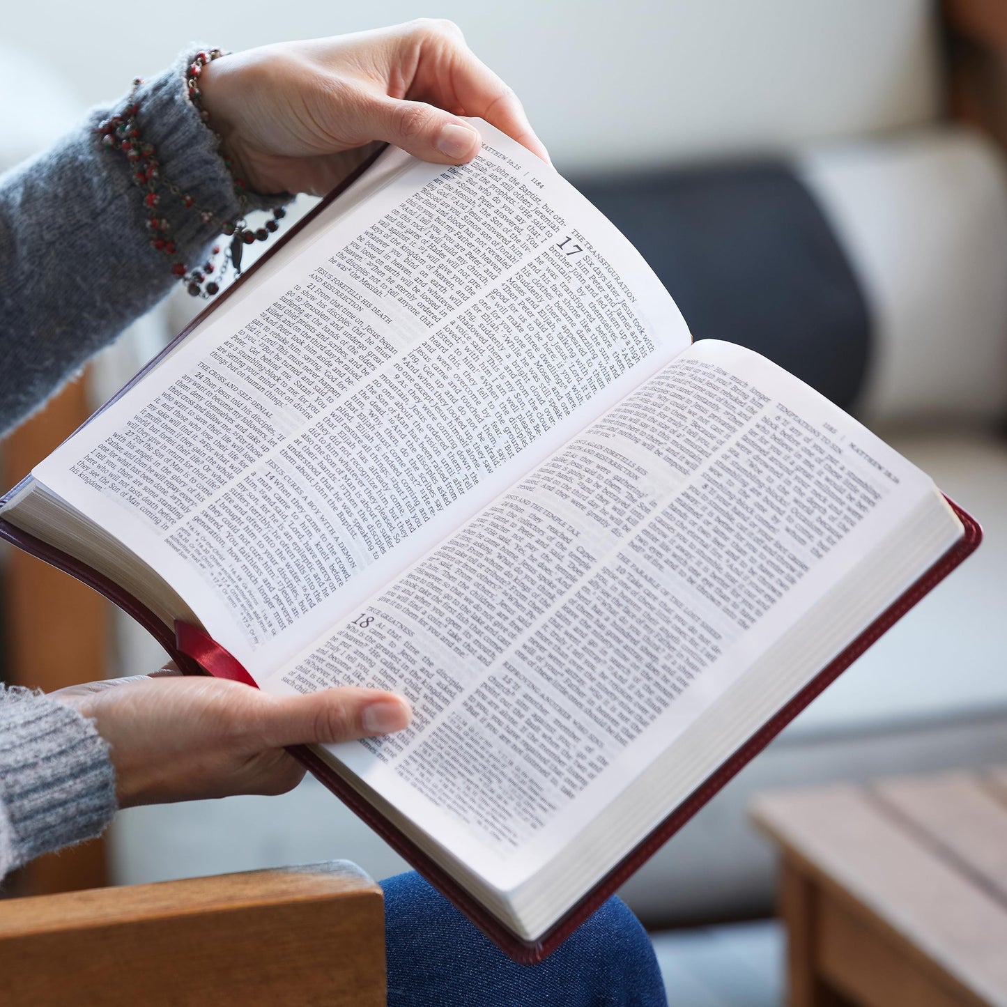 NRSV Large Print Standard Catholic Bible, Red Leathersoft (Comfort Print, Holy Bible, Complete Catholic Bible, NRSV CE): Holy Bible