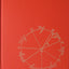 Vision and Art: The Biology of Seeing by Margaret Livingstone