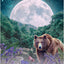 Lunar Magic Oracle: 40 Mooncards with Booklet