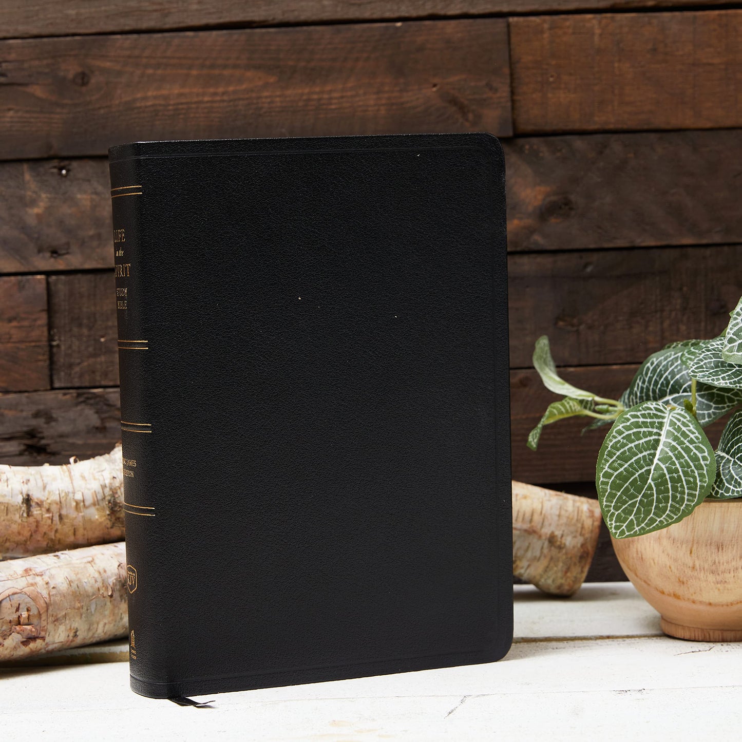 KJV Life in the Spirit Study Bible