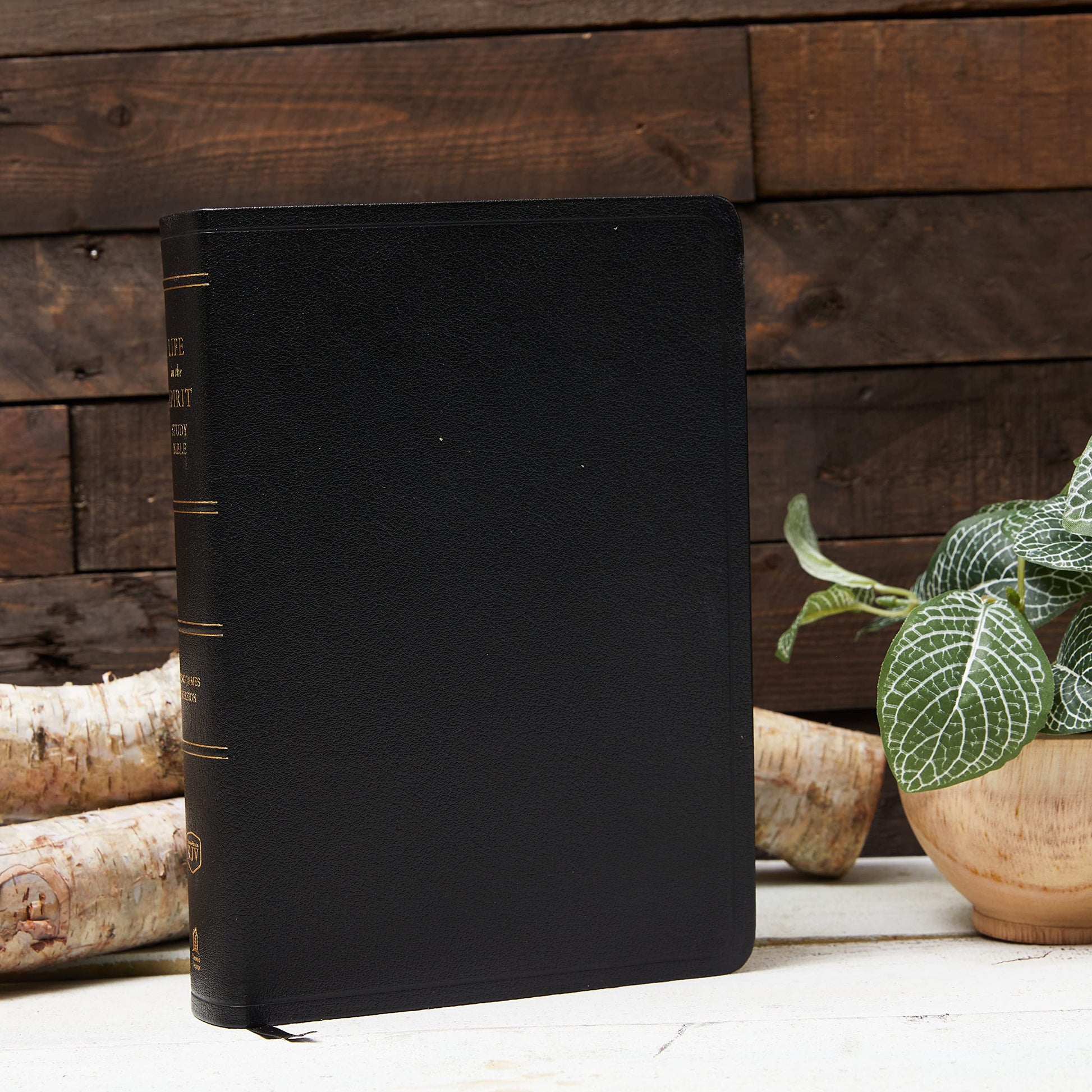 KJV Life in the Spirit Study Bible