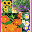 Home Gardener's Annuals: The Complete Guide to Growing 37 Flowers in Your Backyard (Creative Homeowner) Step-by-Step Photos & Essential Information to Design & Maintain Your Garden (Specialist Guide)