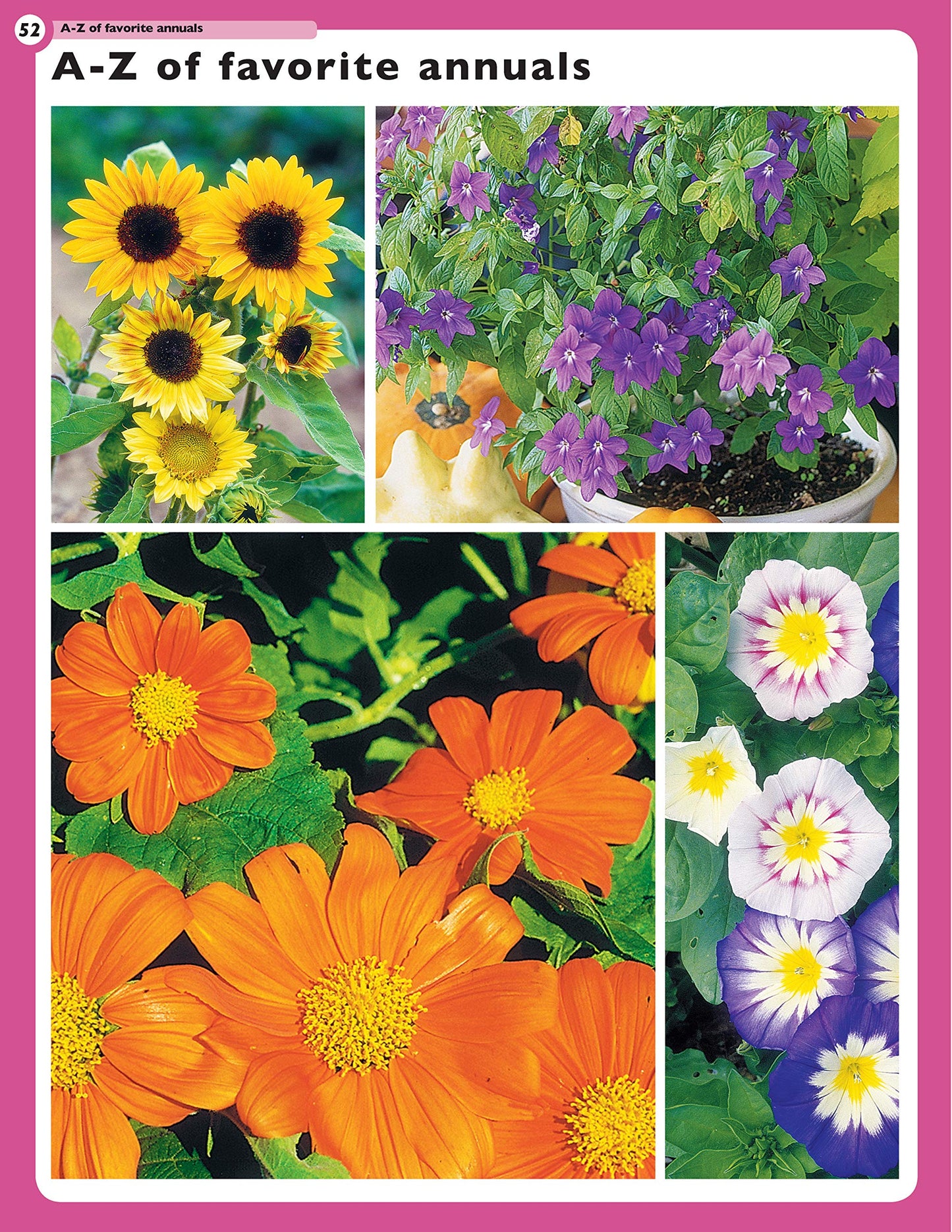 Home Gardener's Annuals: The Complete Guide to Growing 37 Flowers in Your Backyard (Creative Homeowner) Step-by-Step Photos & Essential Information to Design & Maintain Your Garden (Specialist Guide)