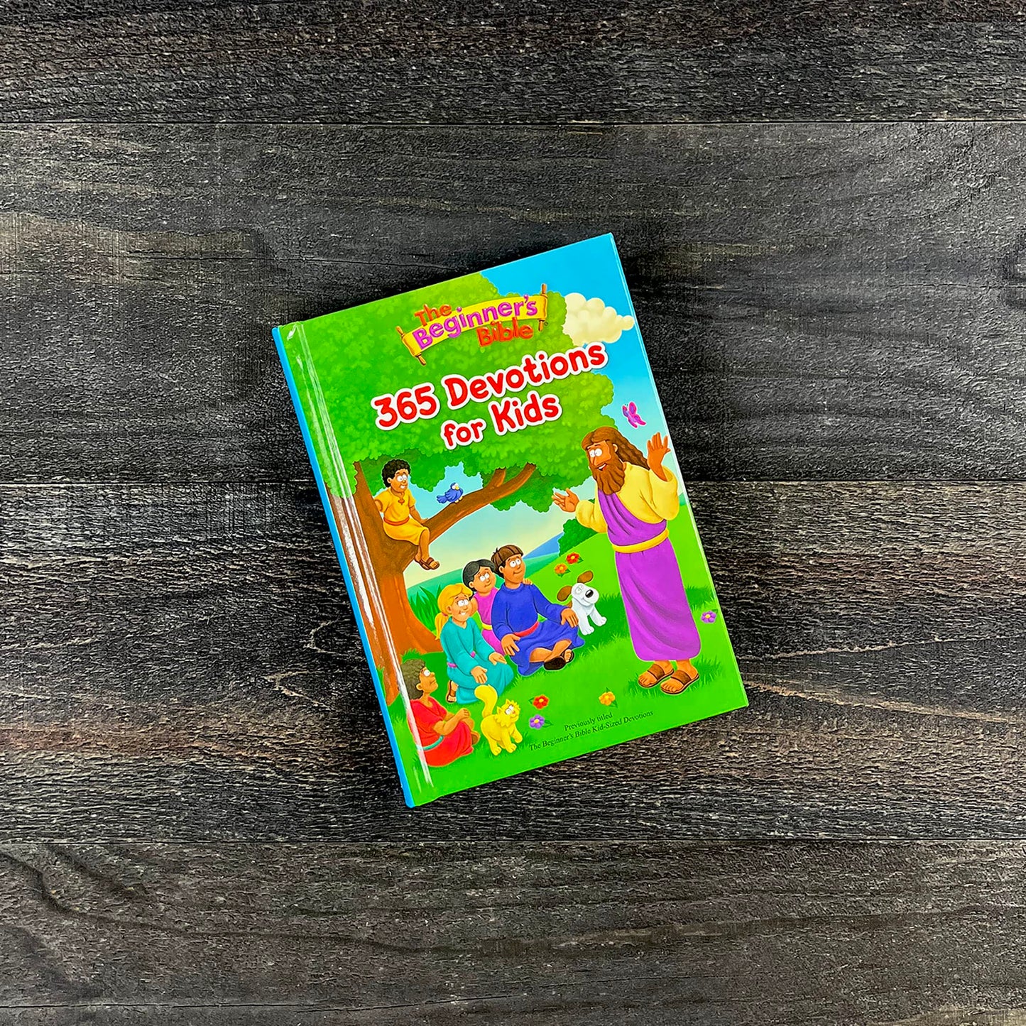 The Beginner's Bible 365 Devotions for Kids by The Beginner'