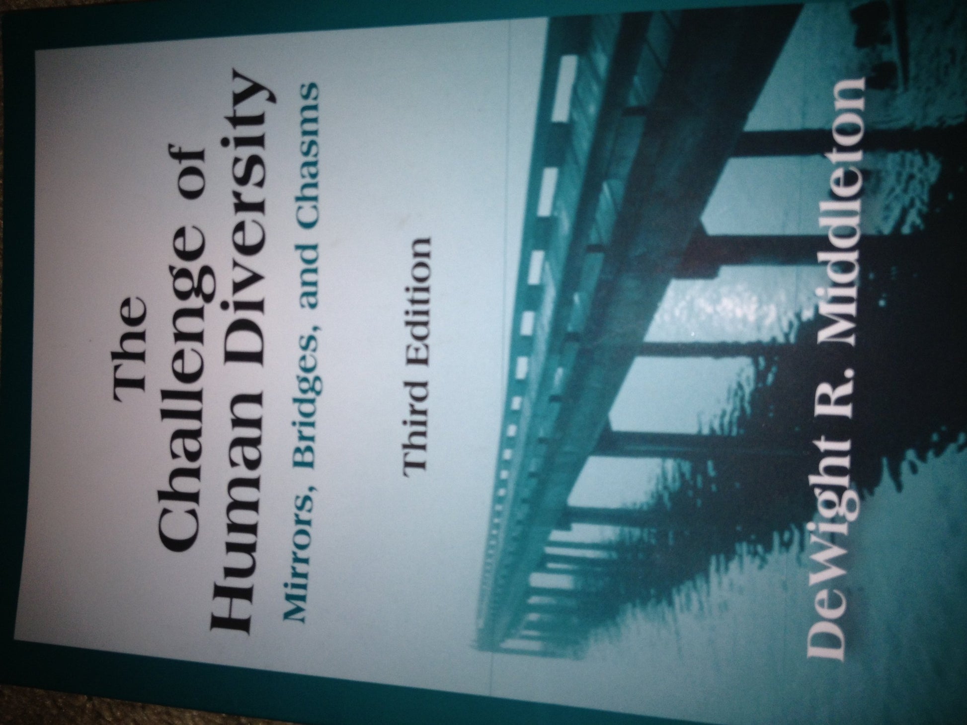 The Challenge of Human Diversity: Mirrors, Bridges, and Chasms