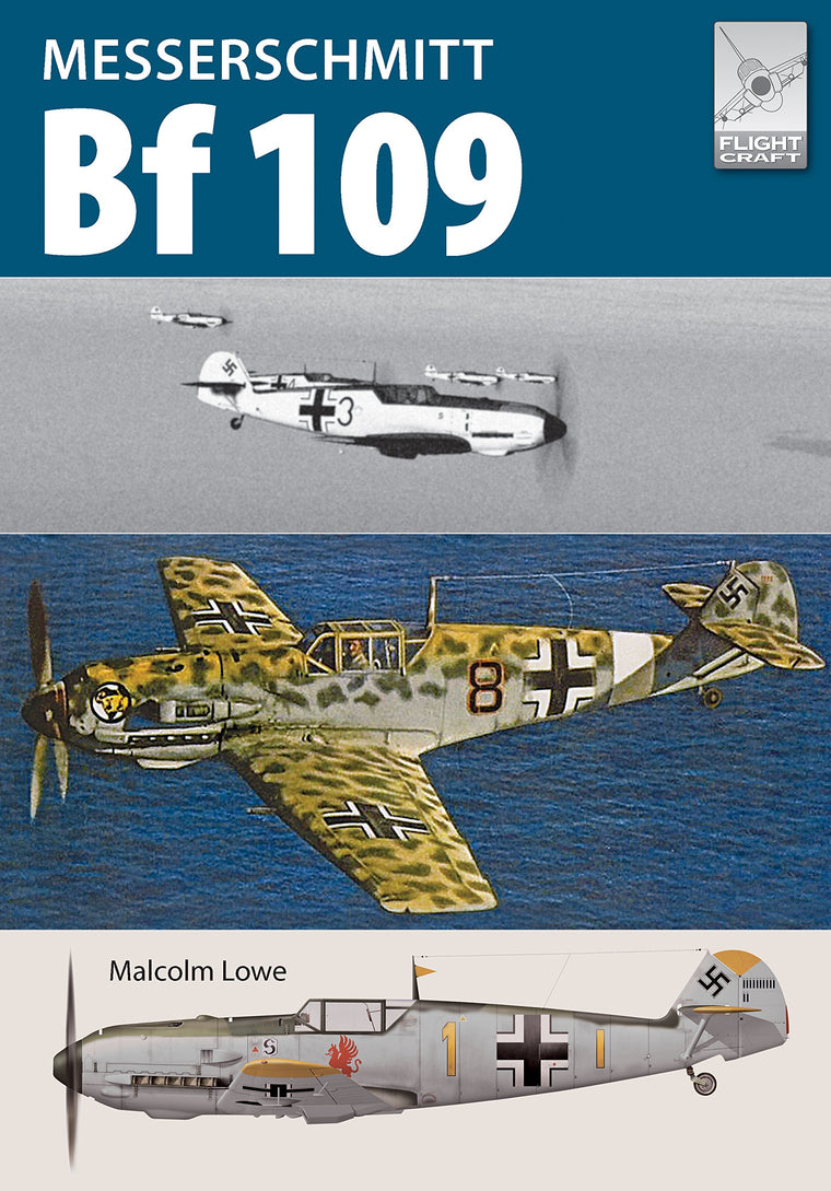 Messerschmitt Bf109 (FlightCraft)