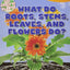 What Do Roots, Stems, Leaves, and Flowers Do? (The World of Plants)