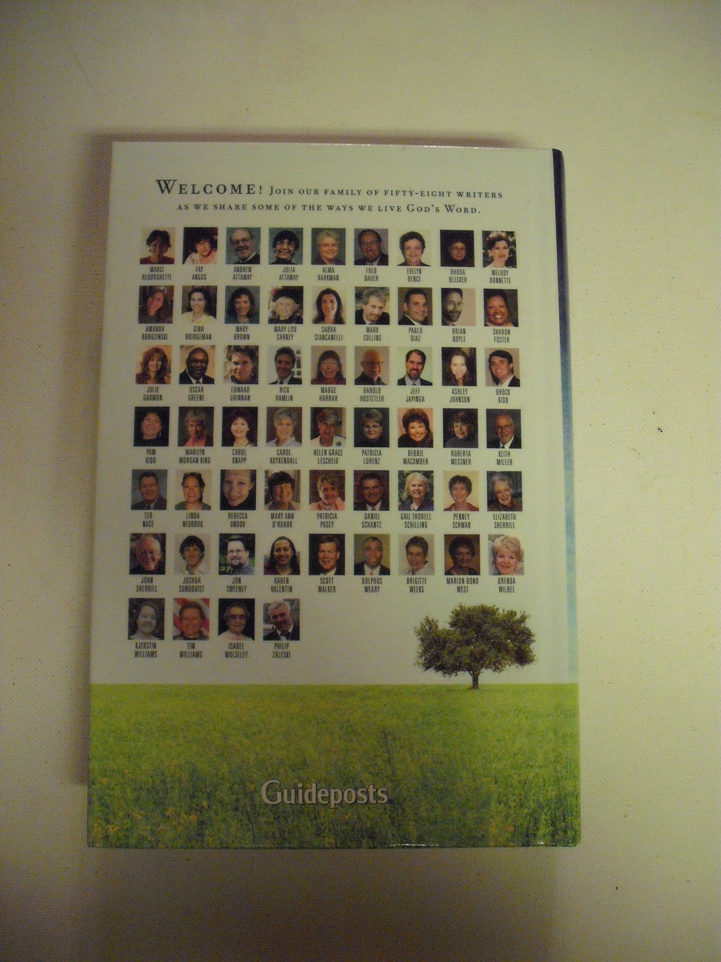 Daily Guideposts 2009: A Spirit-lifting Devotional