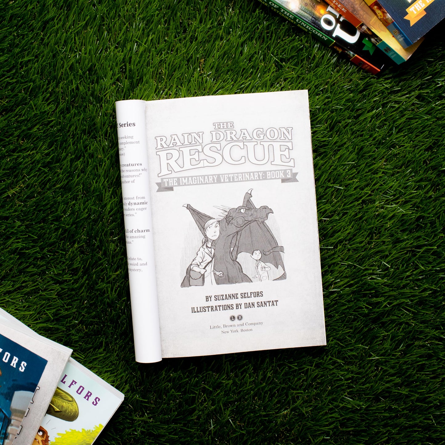 The Rain Dragon Rescue (The Imaginary Veterinary, 3)