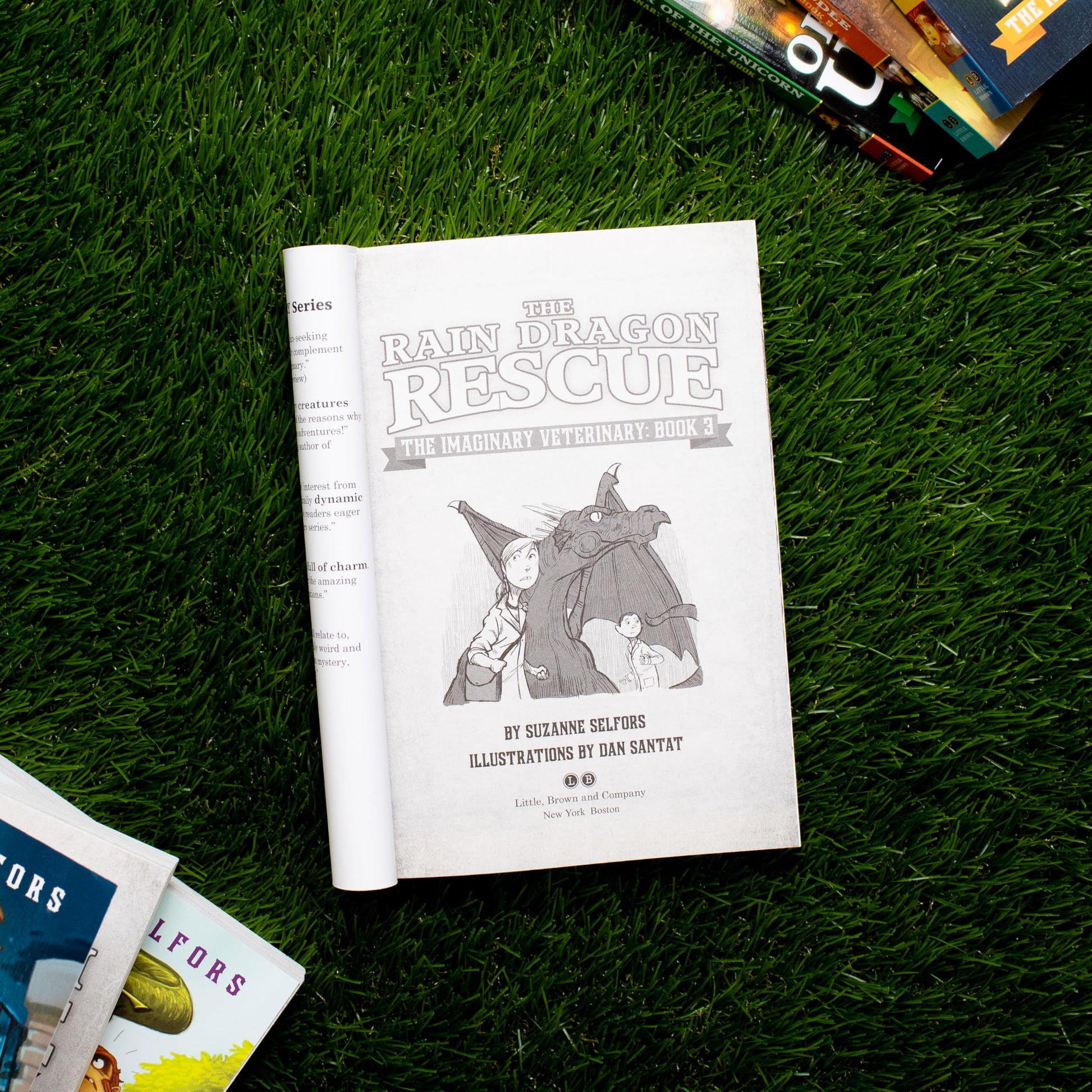 The Rain Dragon Rescue (The Imaginary Veterinary, 3)