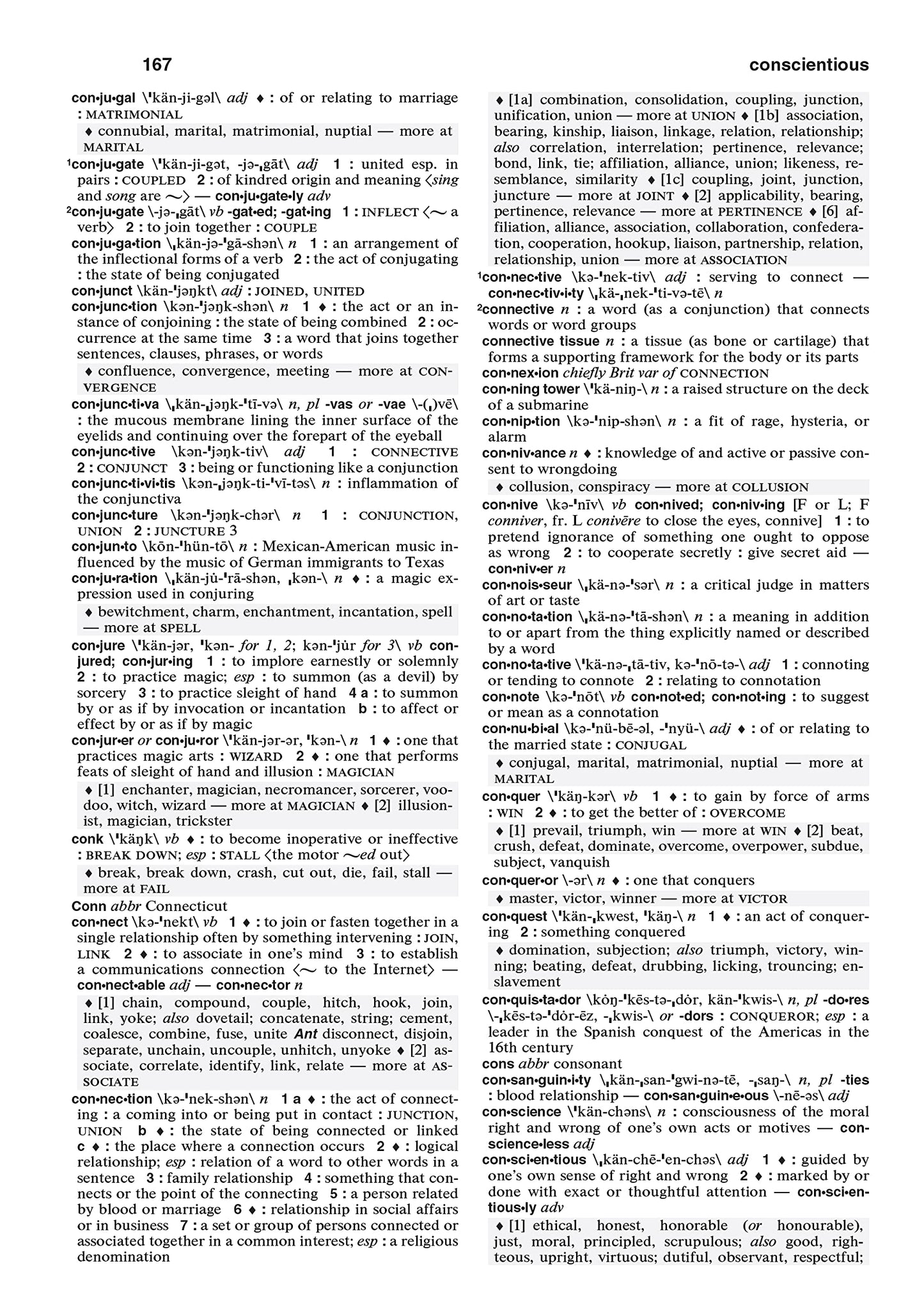 Merriam-Webster's Dictionary and Thesaurus, Newest Edition,