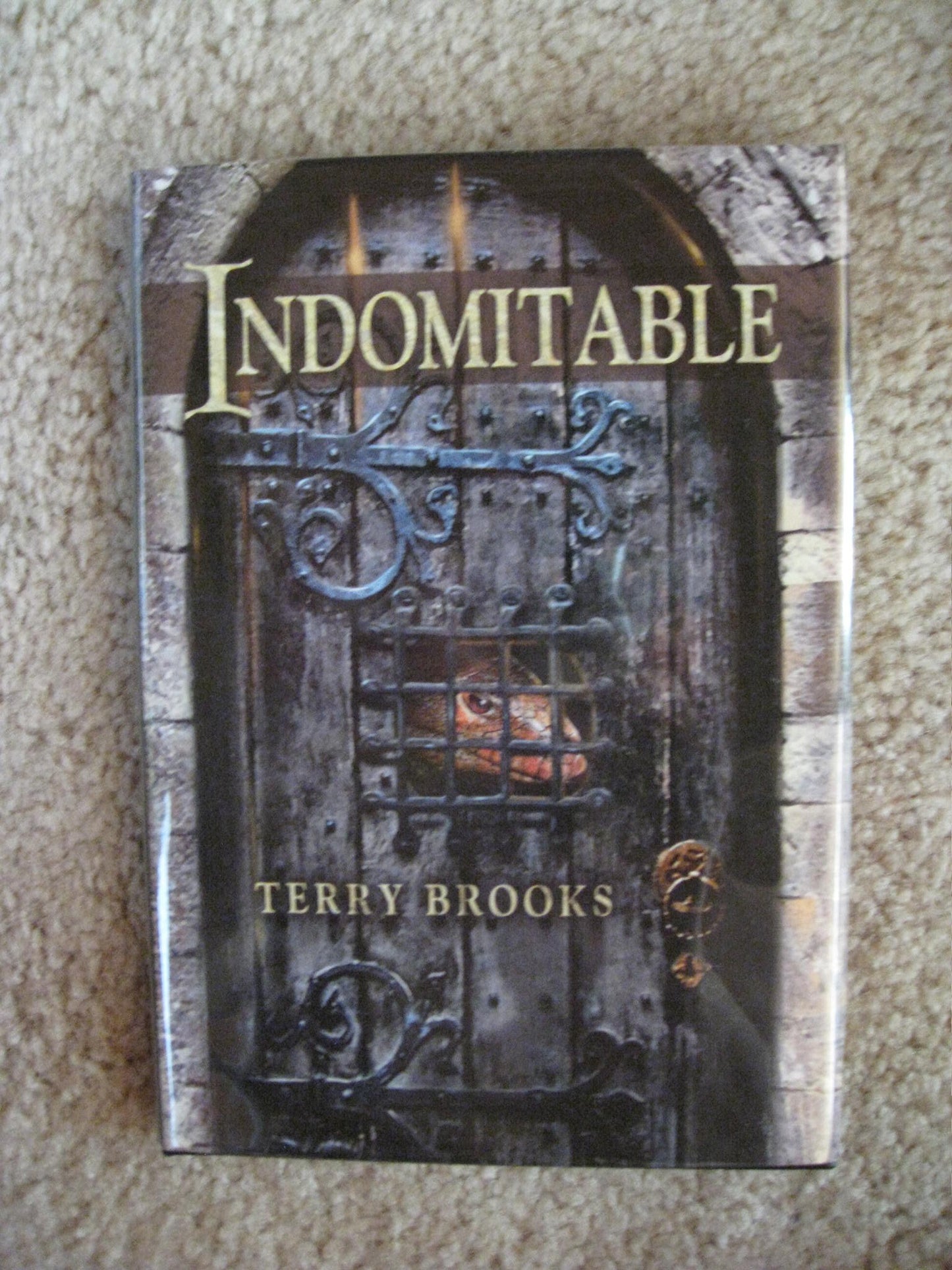 Indomitable by Terry Brooks