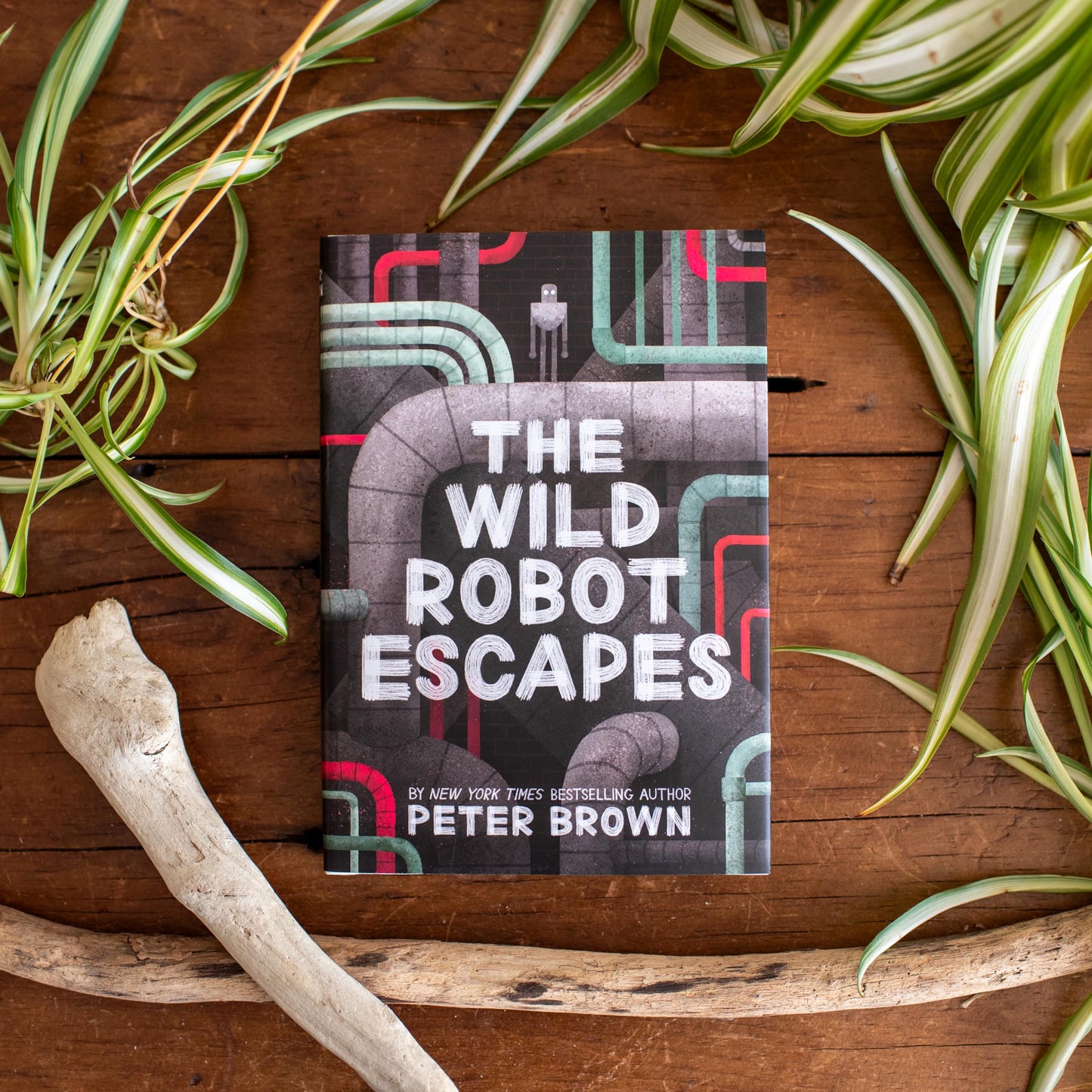 The Wild Robot Escapes (Volume 2) (The Wild Robot, 2) by Bro