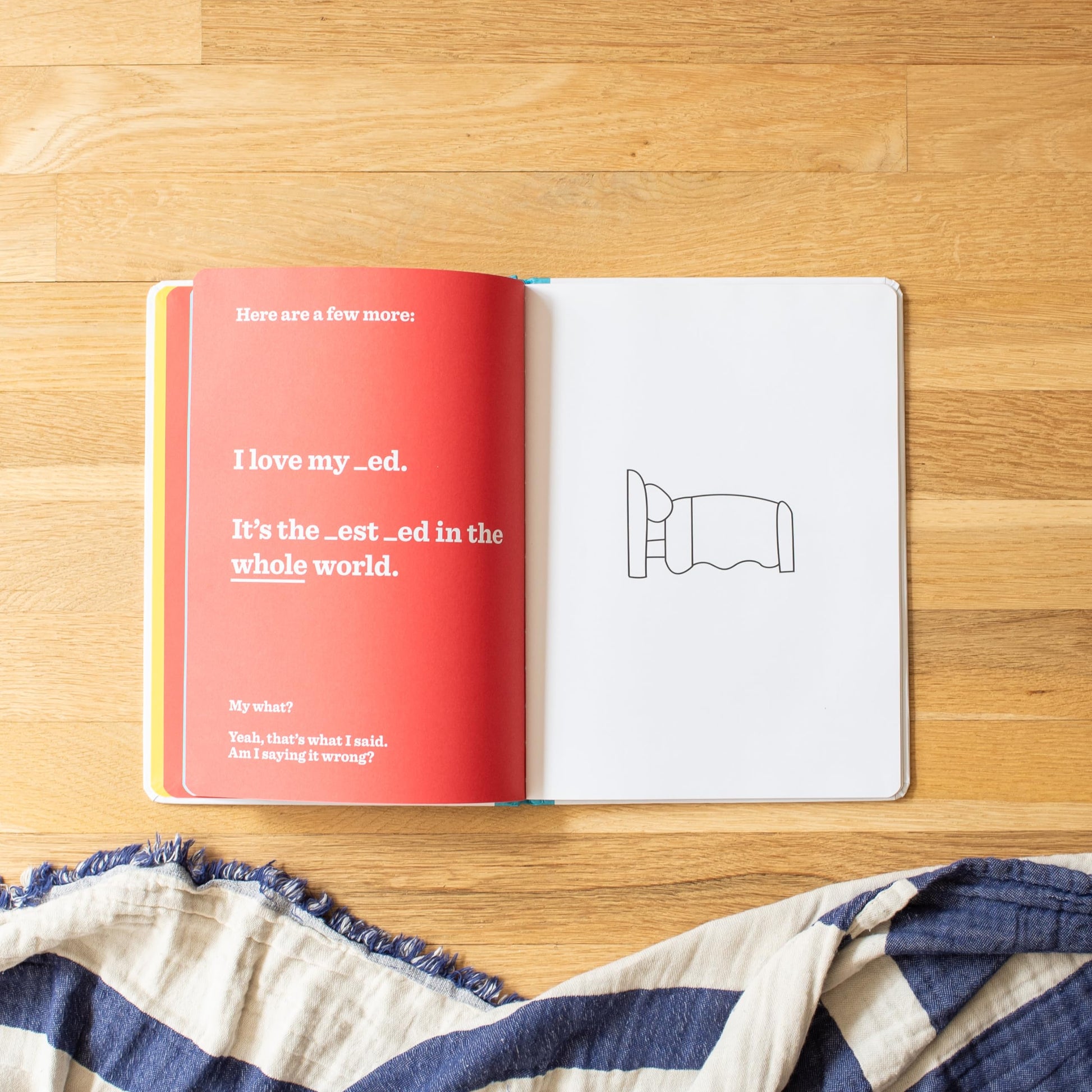 Books That Drive Kids CRAZY!: Did You Take the B from My _ook?
