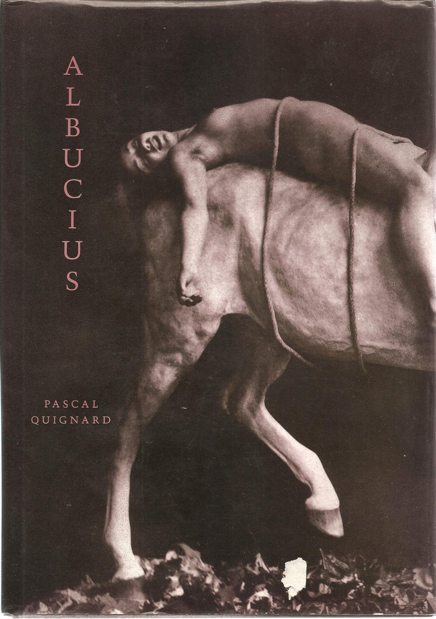 Albucius