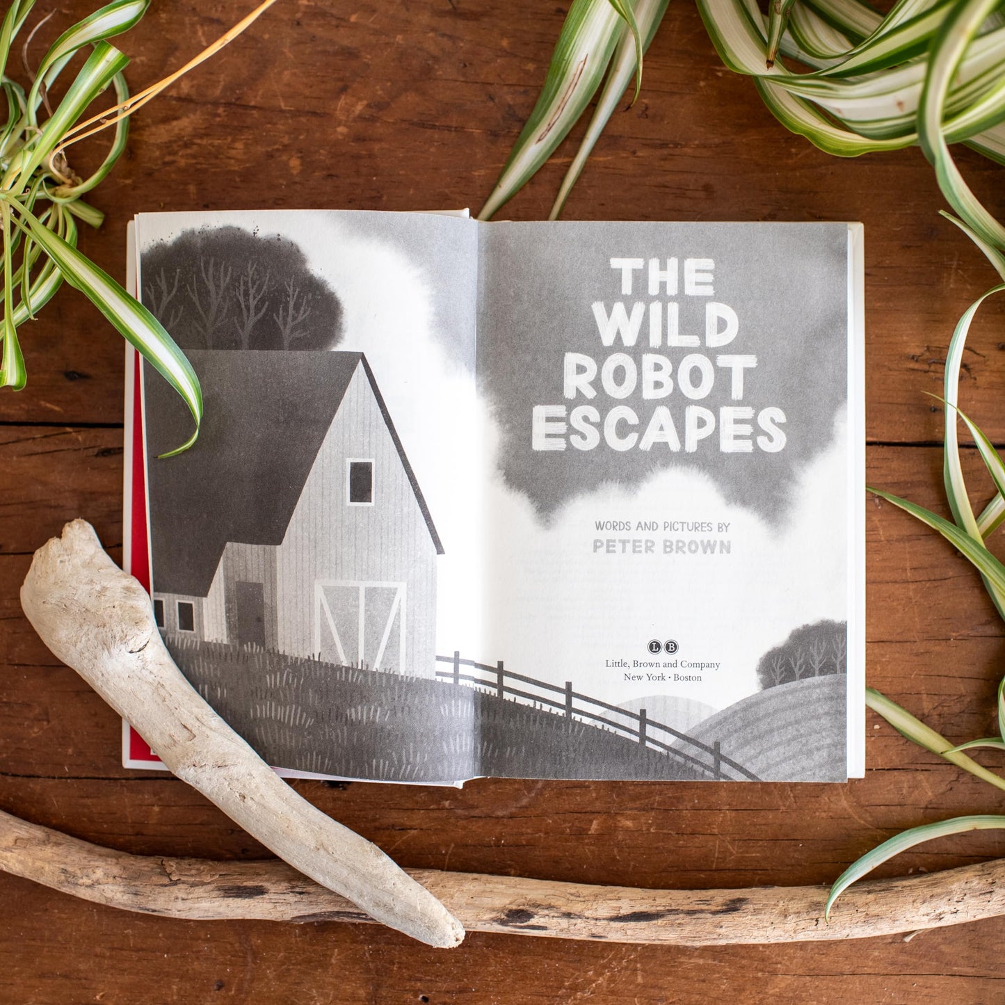The Wild Robot Escapes (Volume 2) (The Wild Robot, 2) by Bro