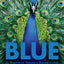 Blue: In Search of Nature's Rarest Color