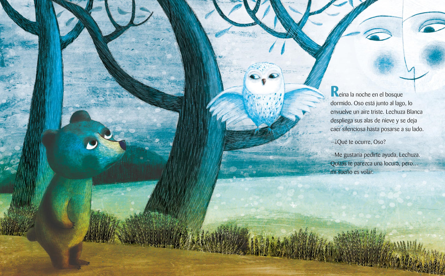 Oso quiere volar (Bear Wants to Fly) (Spanish Edition)